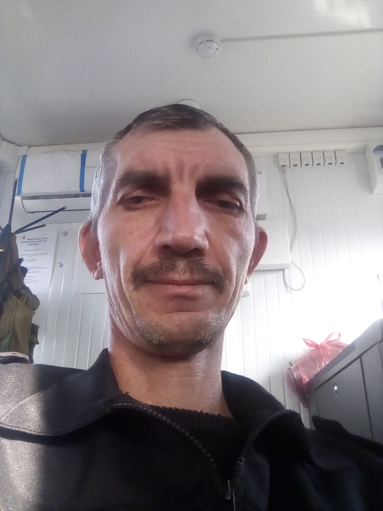  22810731  , 50 ,    