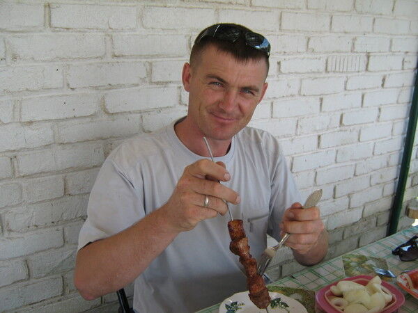  6919381  , 46 ,    -