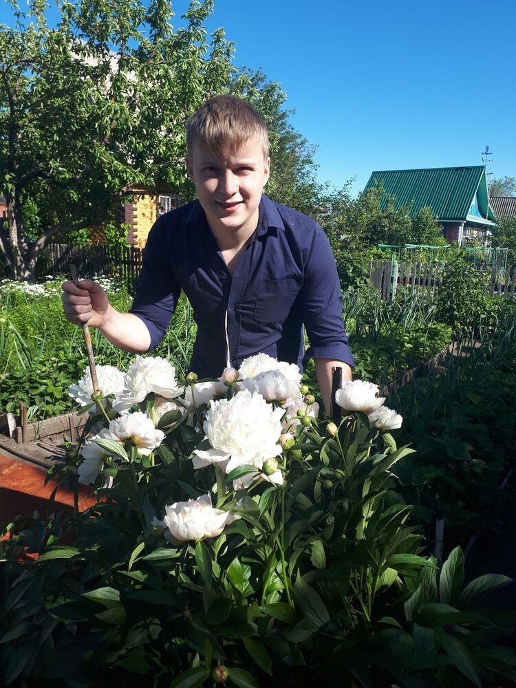 ���������� ����, ���� ������� ����, 28 ���, ������������ ��� ������, ����� � ���������, c�������� ���������