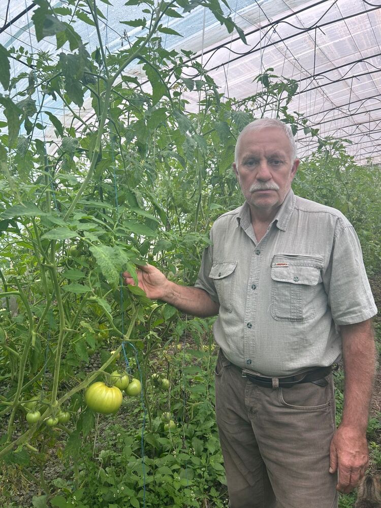 ���������� �������, ���� ������� �������, 61 ���, ������������ ��� c�������� ���������