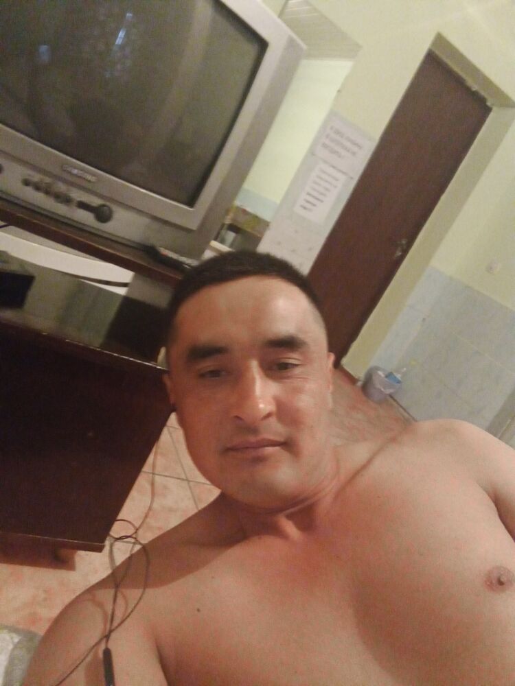  23397381  , 34 ,    -