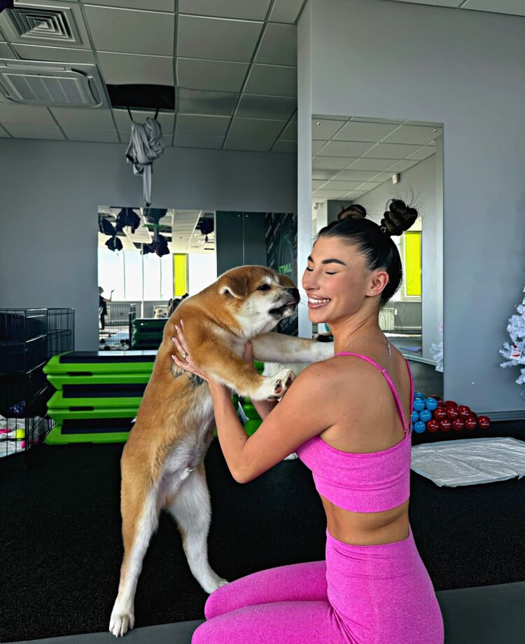 ���� 56099951 ������� �����, 32 ����, ���� ���������� � ��������