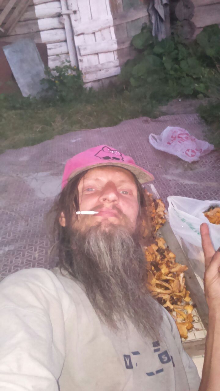  28781951  , 43 ,    