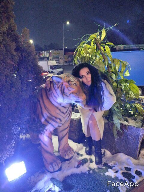 ���� 54385321 ������� ����������, 26 ���, ���� ���������� � ��������