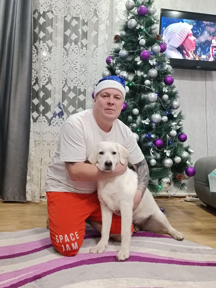 ���� 54925411 ������� �������, 45 ���, ���� ���������� � ���������