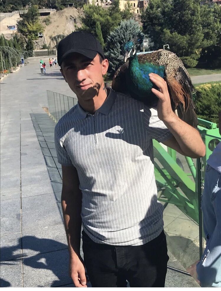 ���������� ������, ���� ������� Manvel, 26 ���, ������������ ��� ������, ����� � ���������