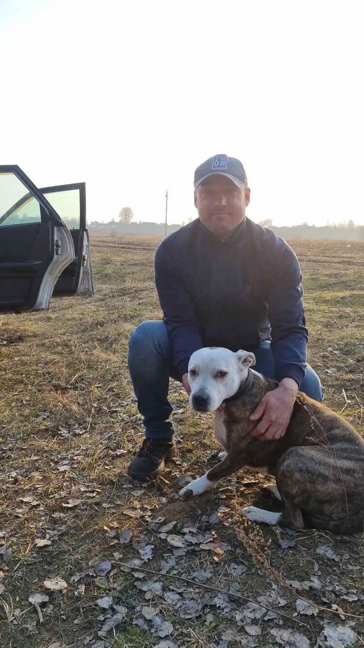 ���������� ������, ���� ������� ������, 37 ���, ������������ ��� ����� � ���������, c�������� ���������