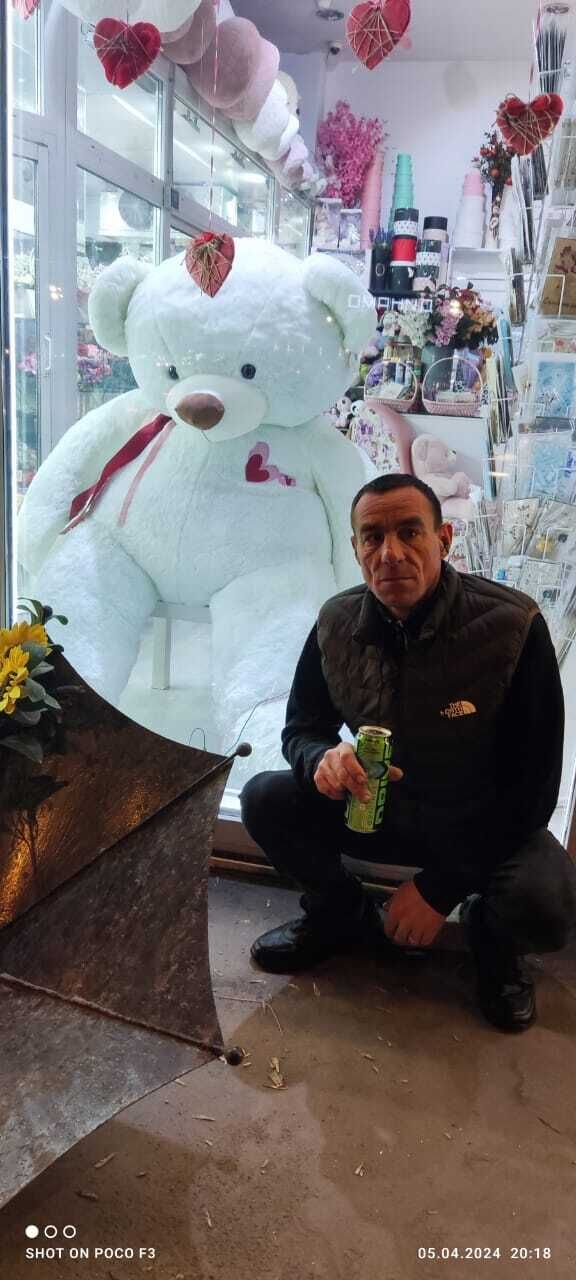 ���� 42372611 ������� ������, 43 ����, ���� ���������� � ��������