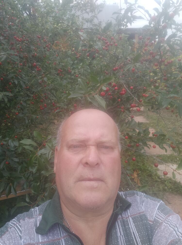  23503231  , 65 ,    
