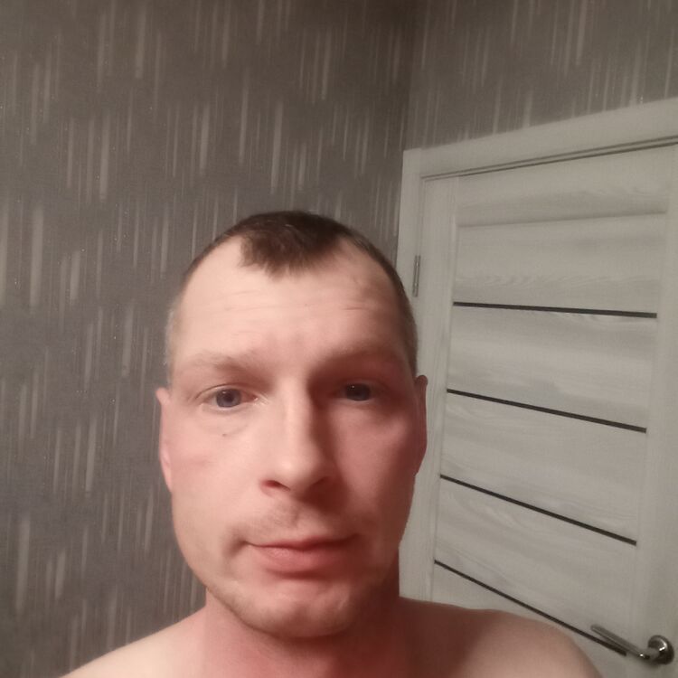 49539241  , 39 ,    