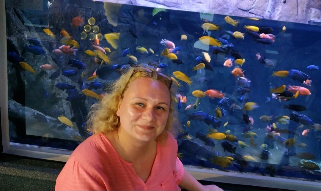 ���� 52584641 ������� �����, 49 ���, ���� ���������� � ������