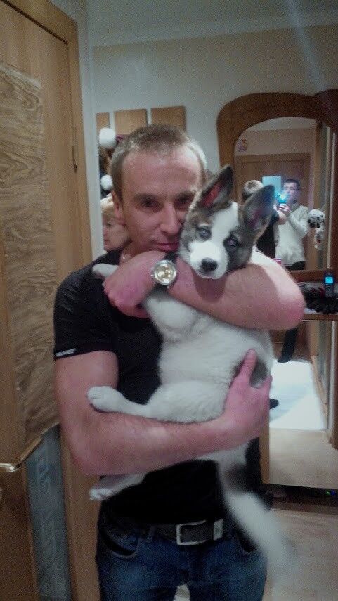 ���������� �����-���������, ���� ������� ����, 37 ���, ������������ ��� ������, ����� � ���������, c�������� ���������