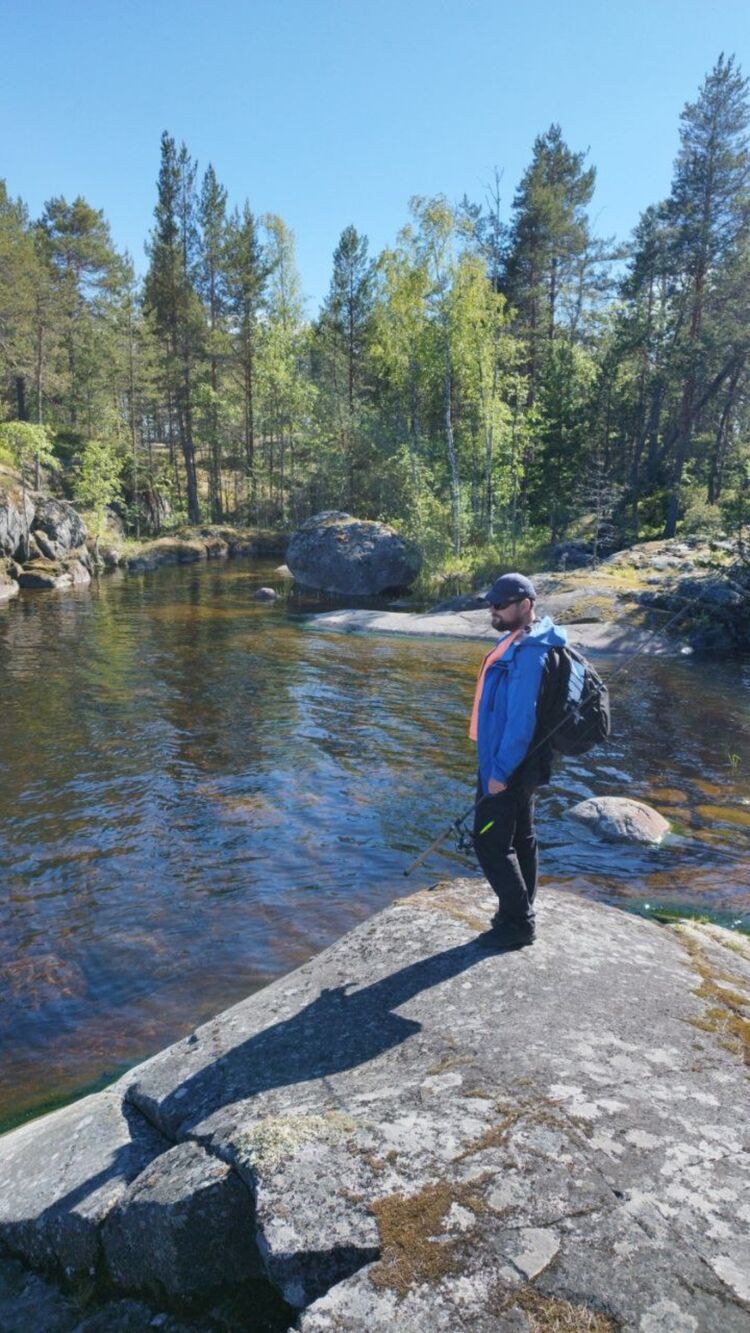  44516251  , 31 ,    -