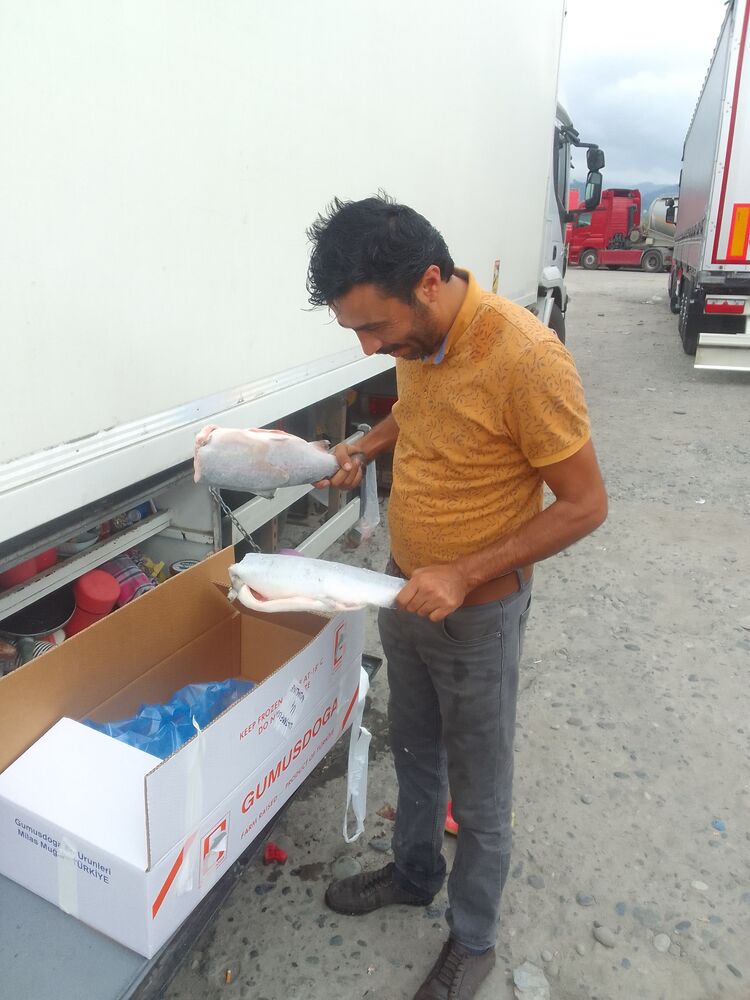  ,   Mahmut, 37 ,   ,   