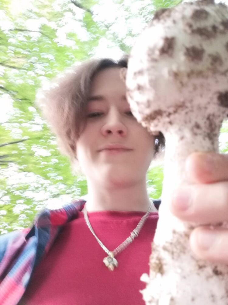 ���� 23384381 ����� ����, 23 ����, ���� ���������� � �������������