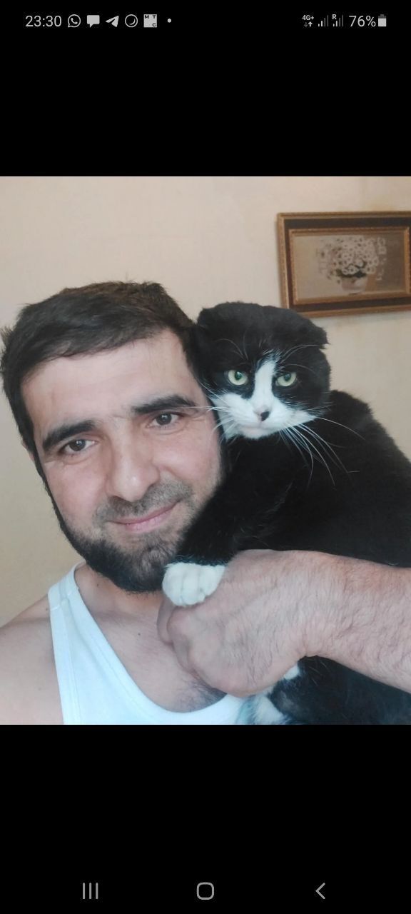  ,   , 43 ,   ,   