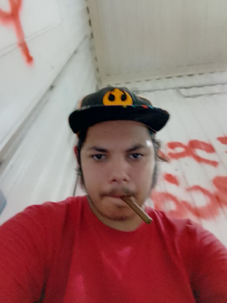 ���� 39517591 ����� ����, 22 ����, ���� ���������� � ���������