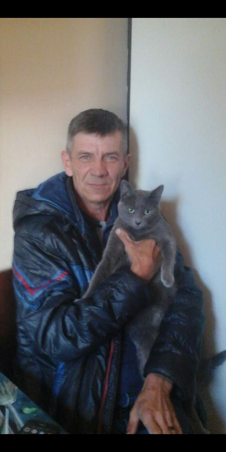 ���� 54956641 ������� ����, 55 ���, ���� ���������� � ���������