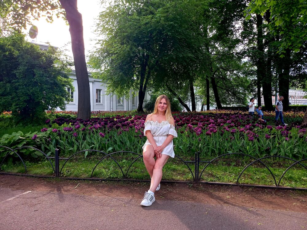  31215651  , 35 ,    -