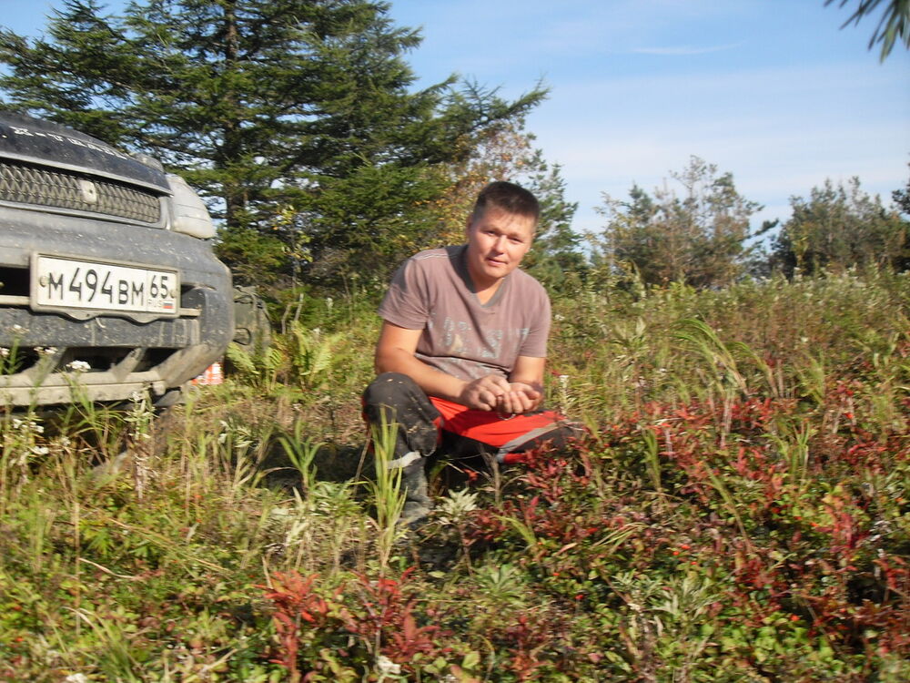  5400441  , 44 ,    -