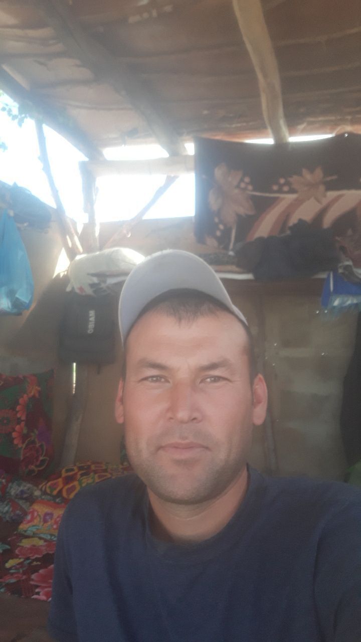 23313541  , 33 ,    