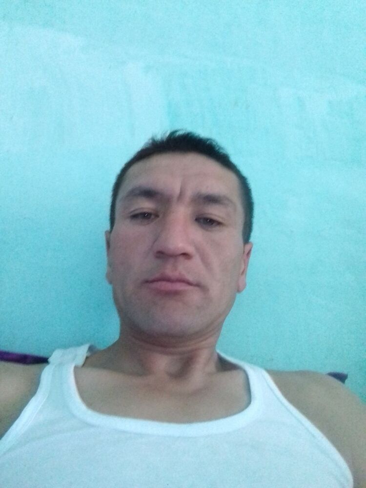  13628591  , 42 ,    