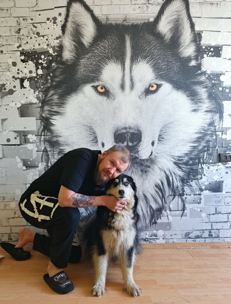  54252631  , 41 ,    -