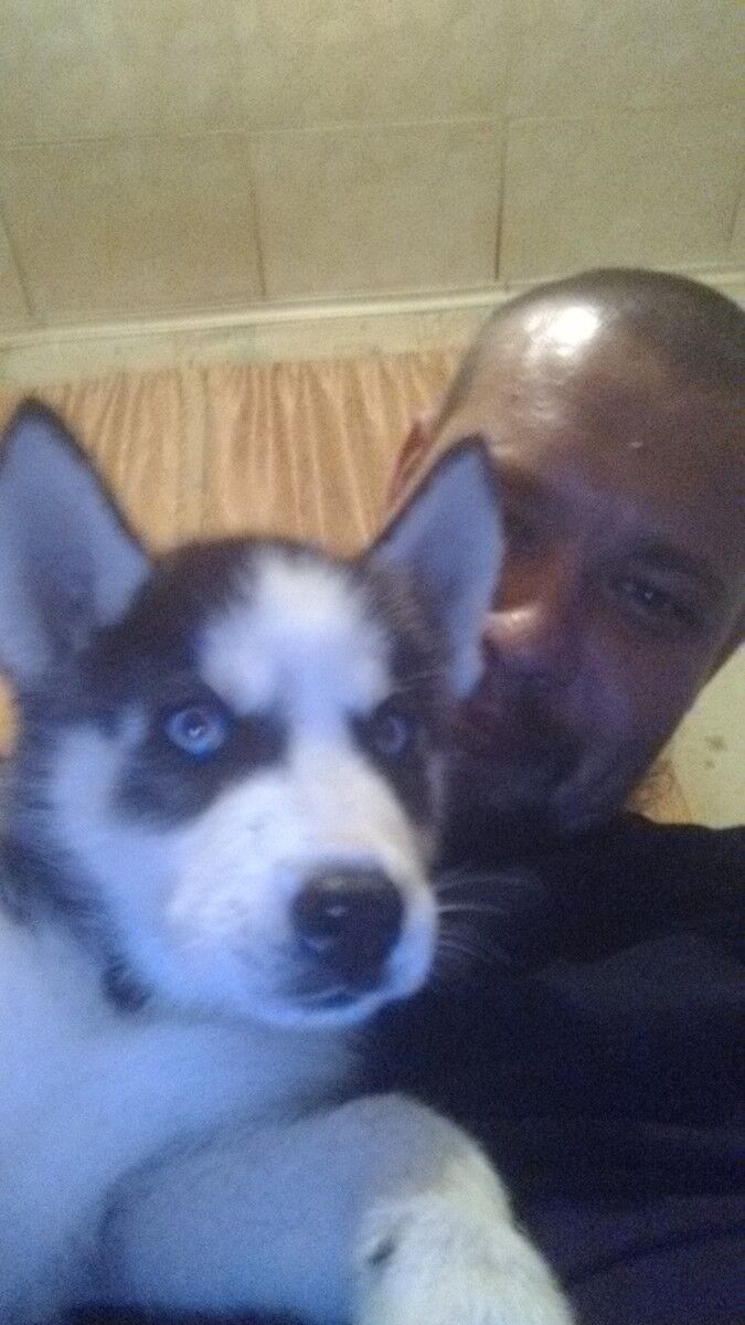 ���������� �������, ���� ������� ������, 34 ����, ������������ ��� ������, ����� � ���������, c�������� ���������, ���������