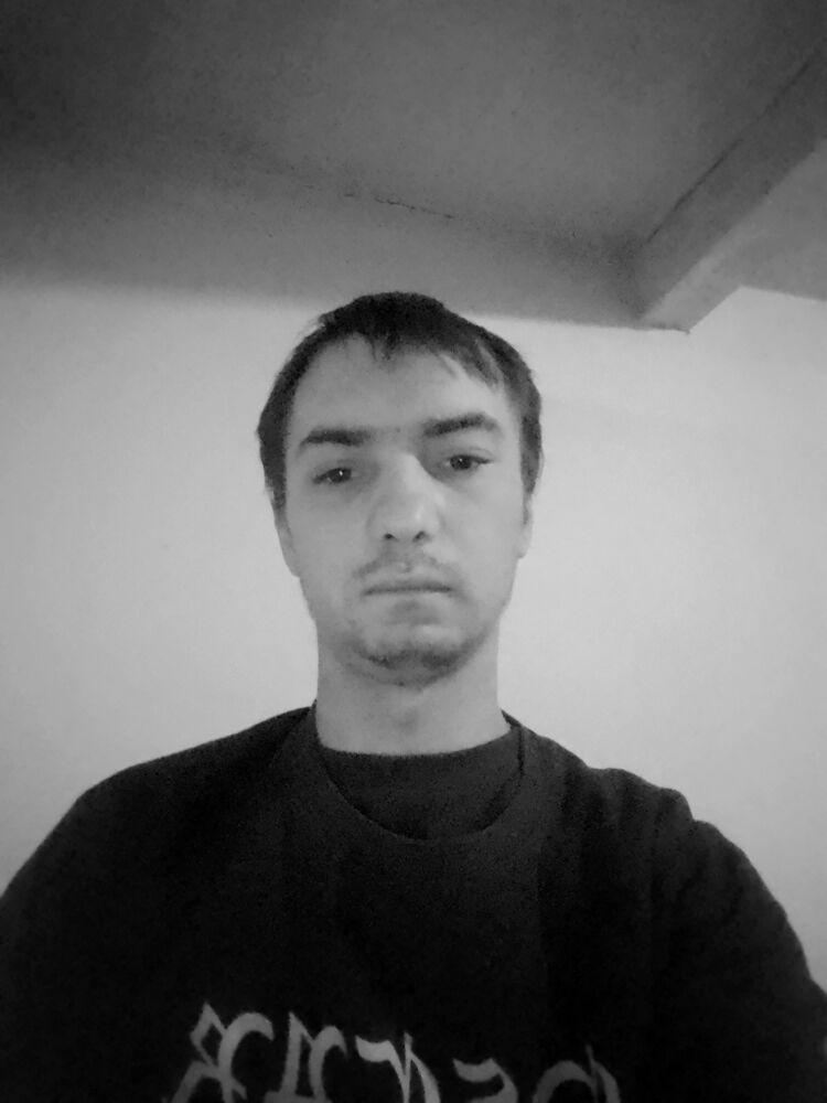  43423731  , 28 ,    