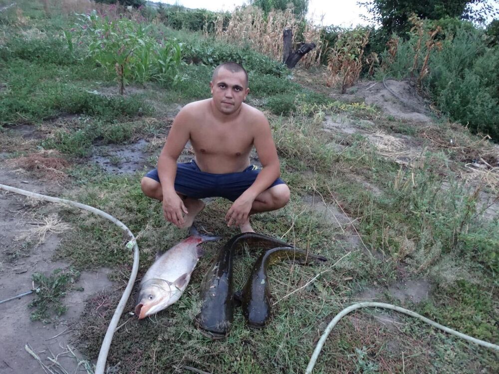 ���������� ���������, ���� ������� �������, 38 ���, ������������ ��� ����� � ���������, c�������� ���������