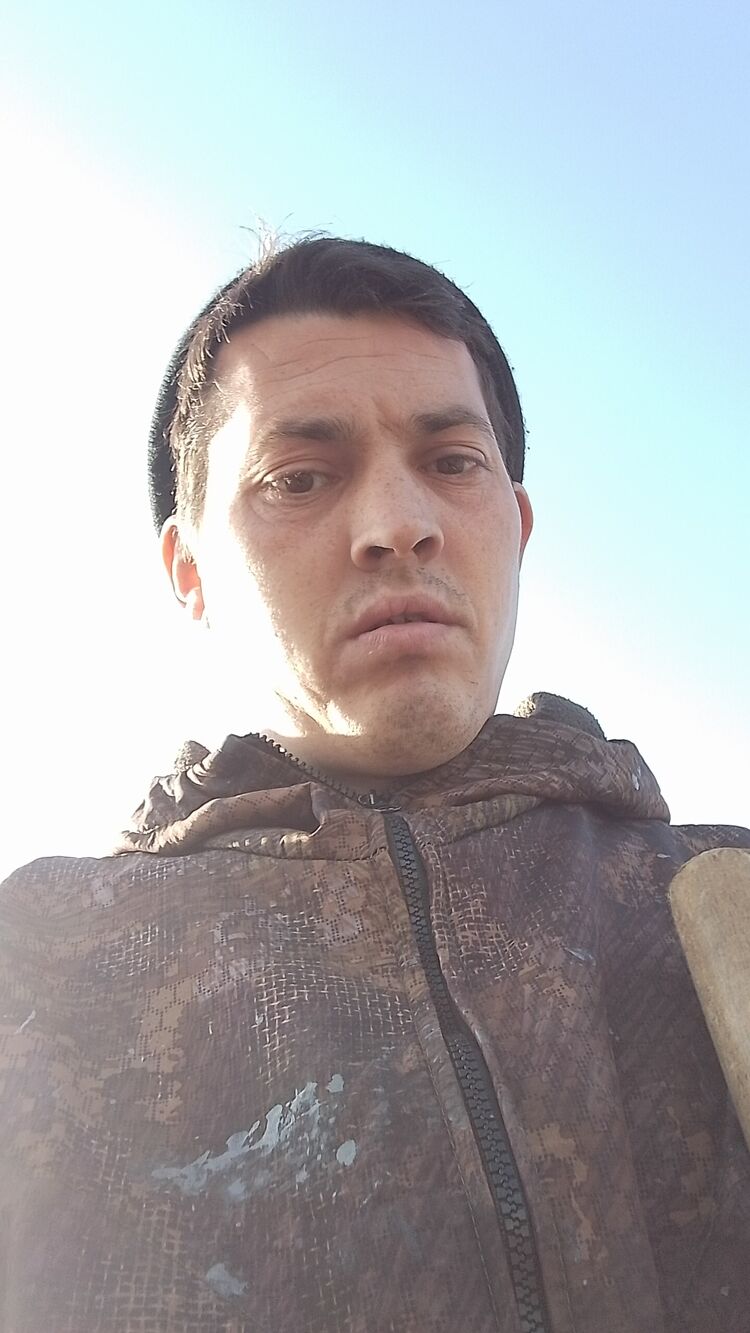 ���� 38240361 ������� ����, 34 ����, ���� ���������� � ������