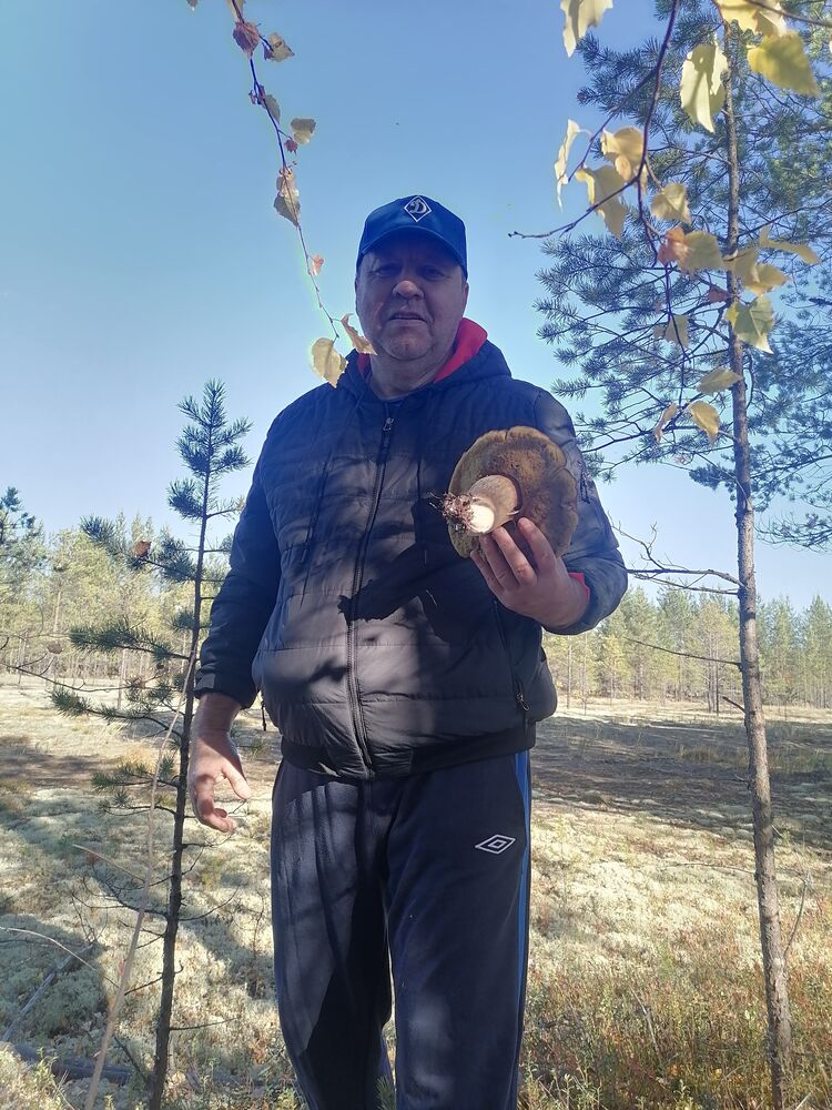 ���������� ������, ���� ������� ���������, 56 ���, ������������ ��� ������, ����� � ���������, c�������� ���������