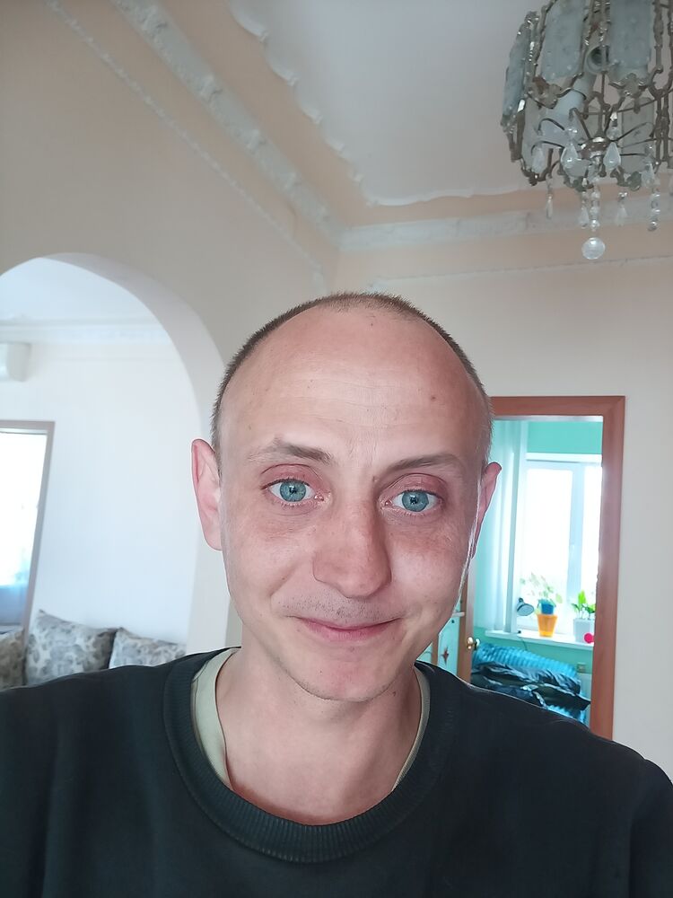  33973541  , 38 ,    