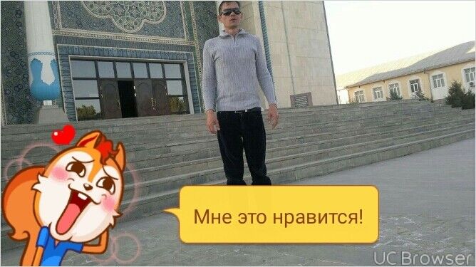  10328661  , 51 ,    