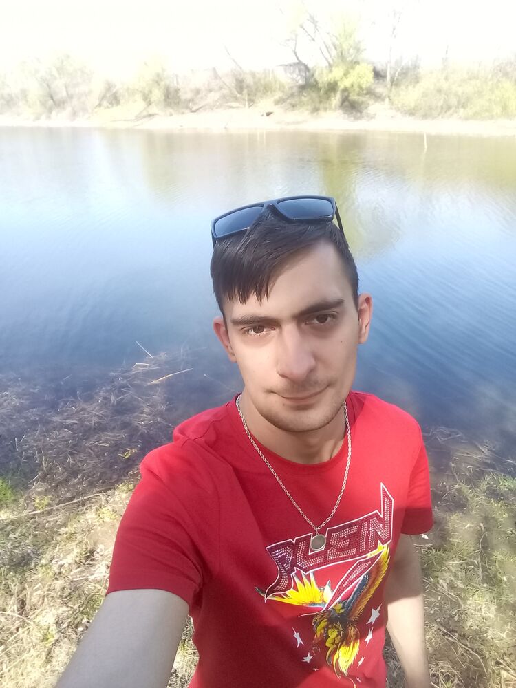  23181581  , 31 ,    