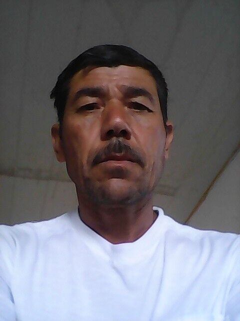  7533631  , 54 ,    