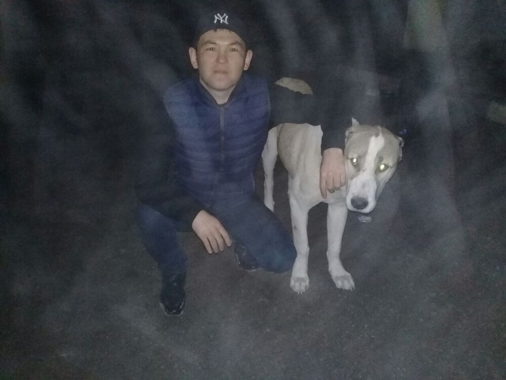  ,   Bake, 37 ,  