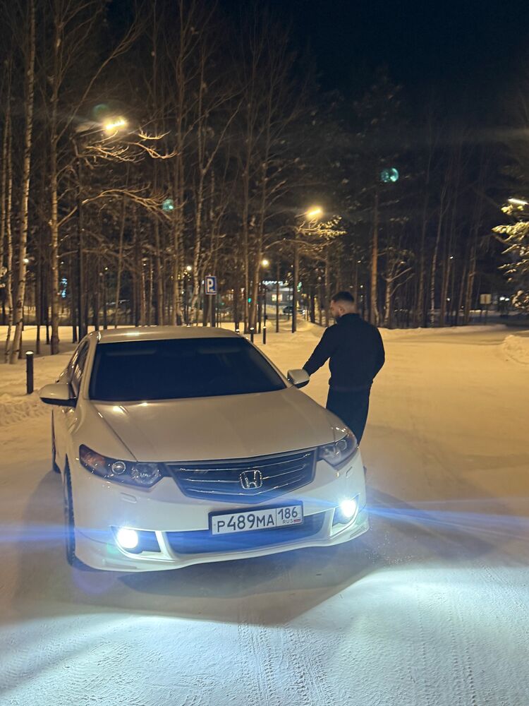 ���� 56173191 ����� �����, 24 ����, ���� ���������� � ������������