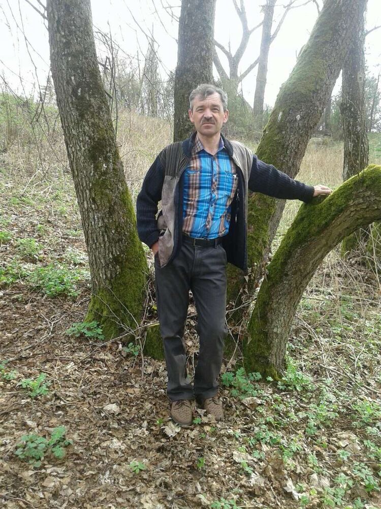 ���� 56356641 ������� �������, 56 ���, ���� ���������� � �����������