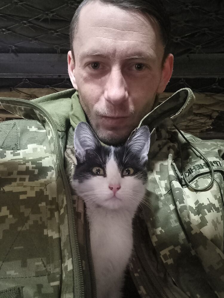 ���������� ����, ���� ������� ������, 38 ���, ������������ ��� ������, ����� � ���������, ���������