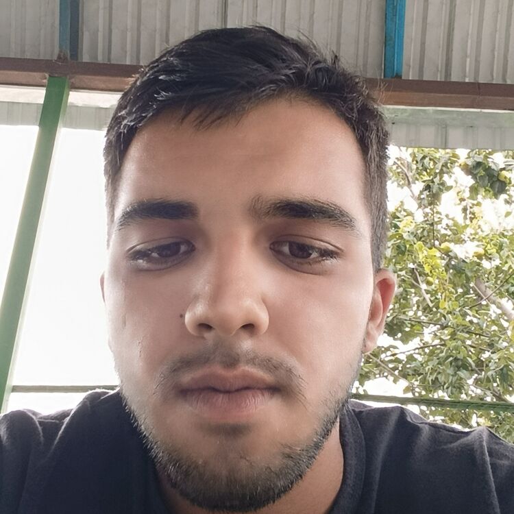 ���� 56233551 ����� Elmir, 23 ����, ���� ���������� � �������