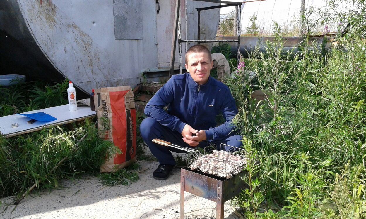 ���� 34065311 ������� ������, 43 ����, ���� ���������� � ������