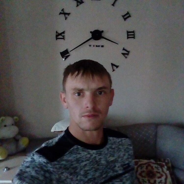  17002541  , 36 ,    