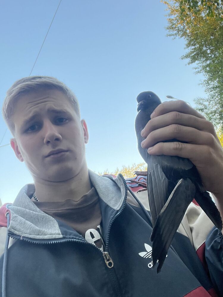 ���������� ������, ���� ����� ������, 21 ���, ������������ ��� ������, ����� � ���������