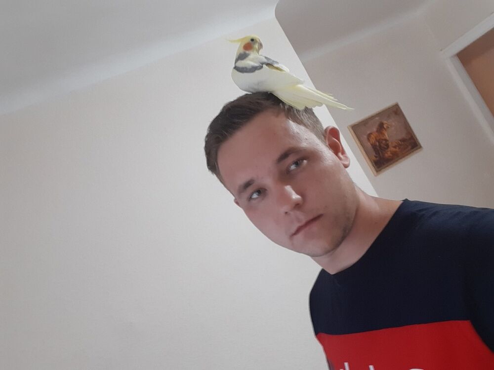 ���� 17155721 ������� ����, 29 ���, ���� ���������� � �������������