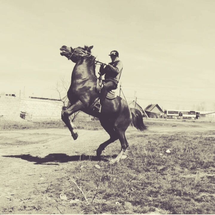 ���������� ������, ���� ������� �������, 35 ���, ������������ ��� ������, ����� � ���������