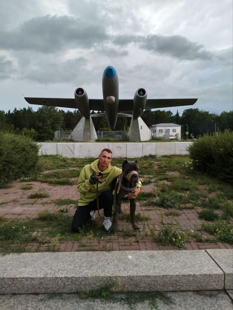 ���������� ���������, ���� ����� ���������, 24 ����, ������������ ��� ������, ���������