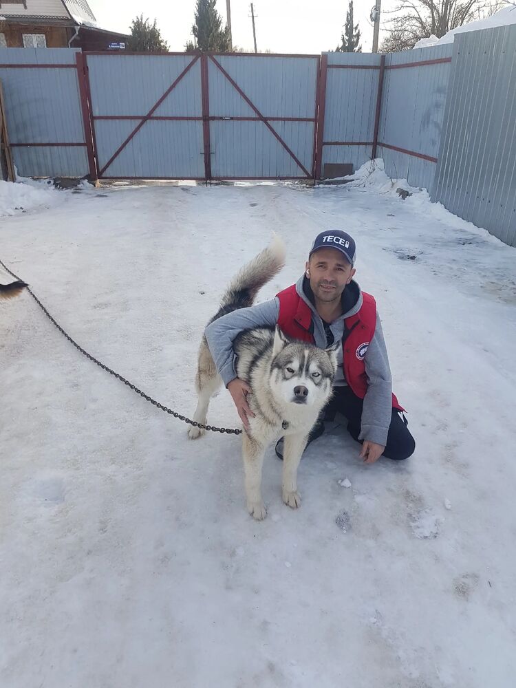 ���������� ������, ���� ������� ����, 44 ����, ������������ ��� ������, ����� � ���������, c�������� ���������