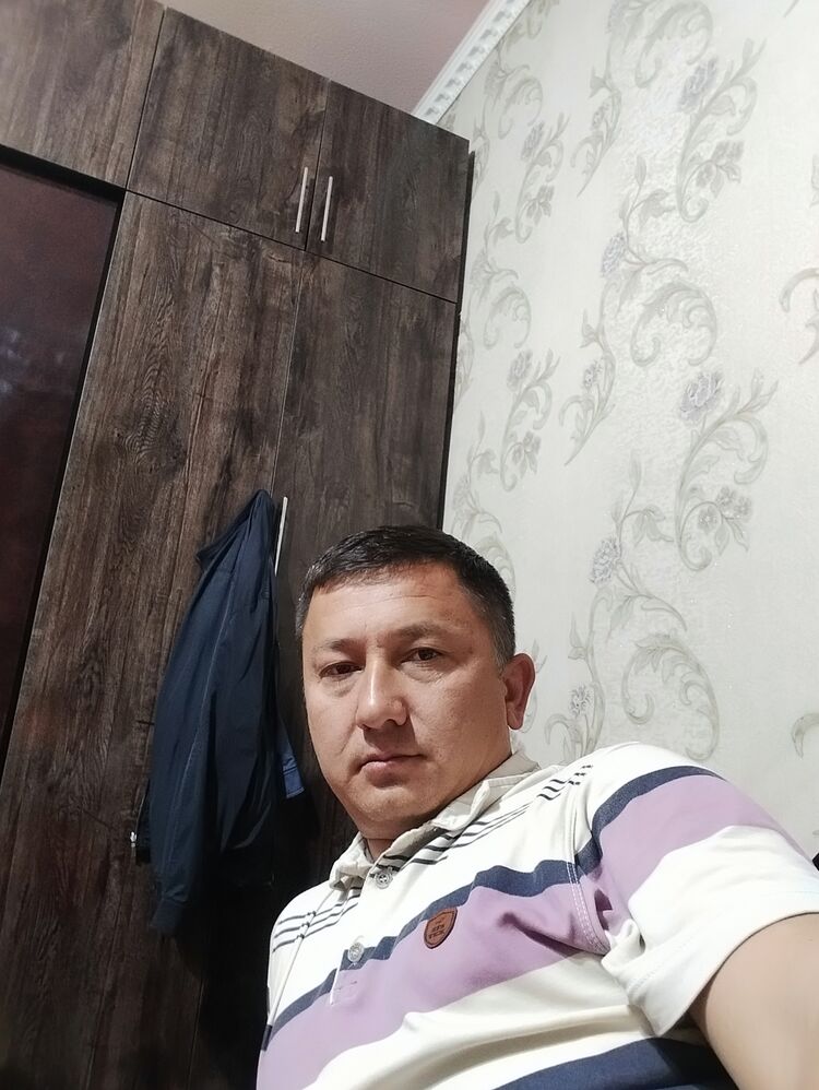  50412801  , 38 ,    