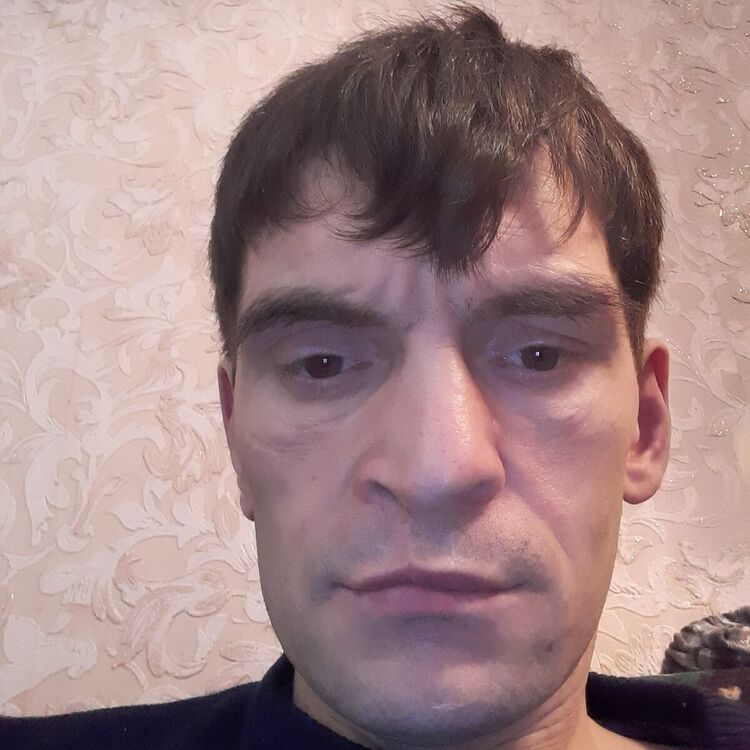  22479251  , 41 ,    